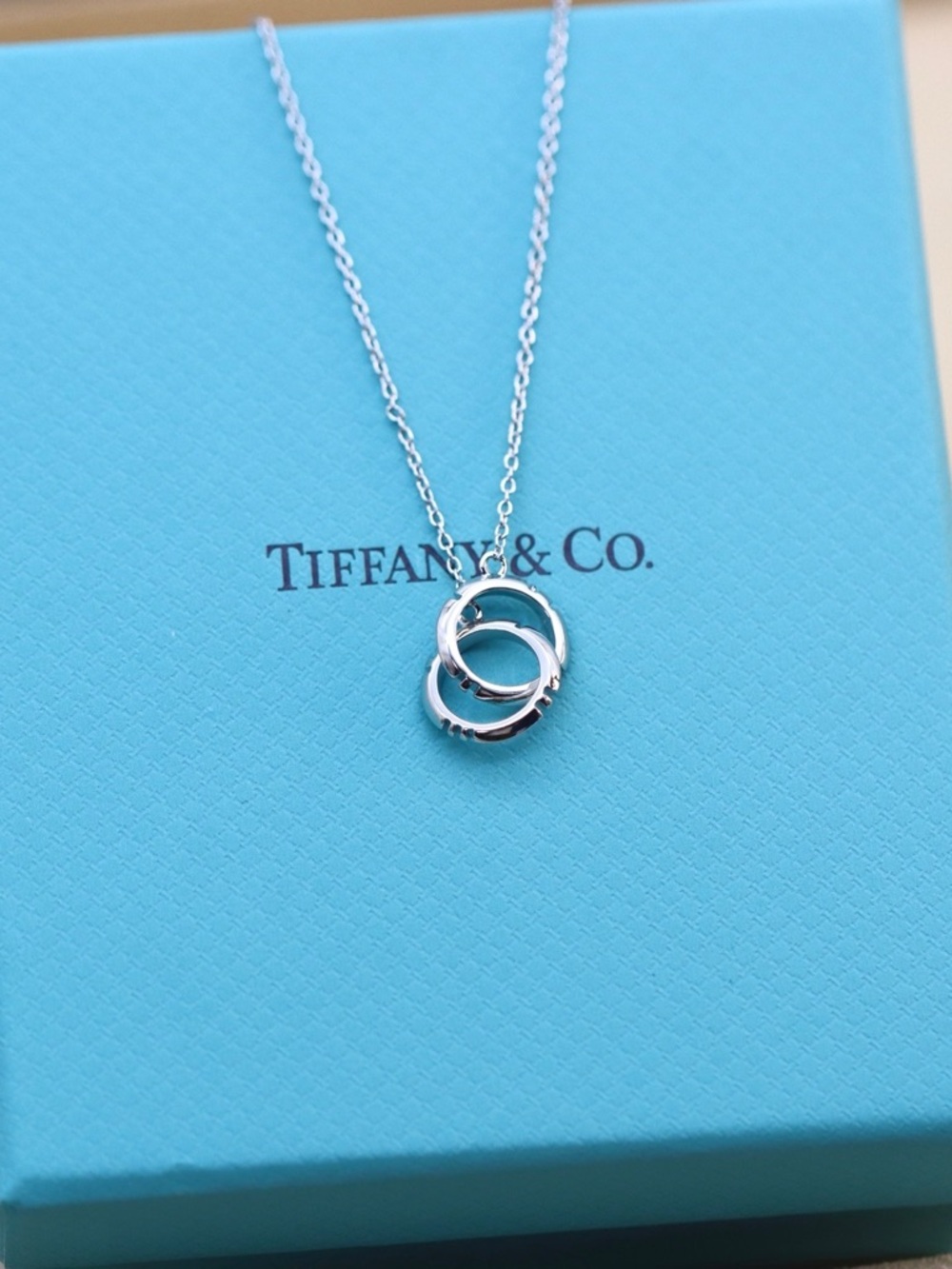 Tiffany & Co. Linked Circle Pendant Necklace - Silver